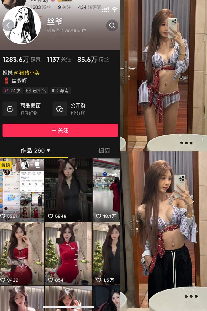 抖音 丝爷 微密圈 NO.001期 【31P19V】-草莓酱