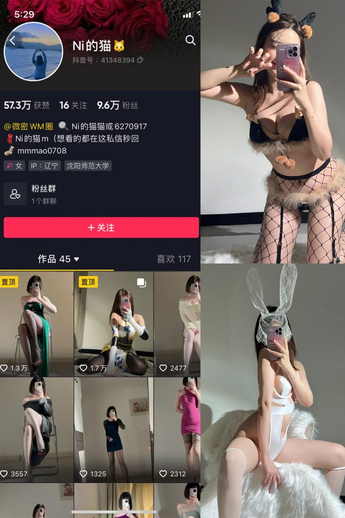 抖音 Ni的猫猫 微密圈  NO.007期 【37P1V】-草莓酱